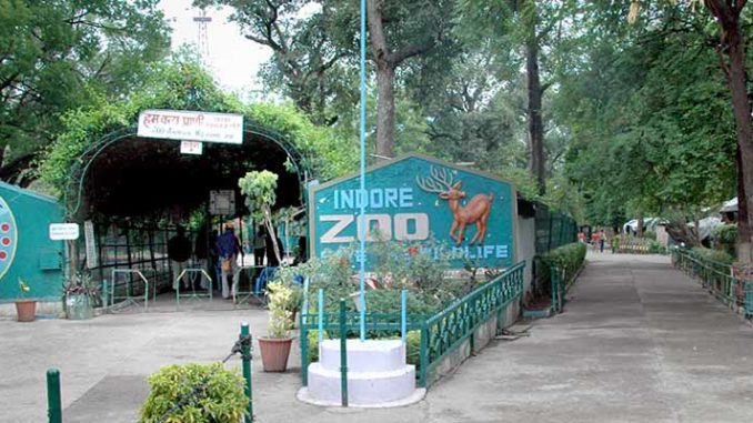 indore-zoo-attraction indore zoo location, timing