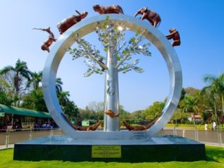 nehru zoological park hyderabad location/adress